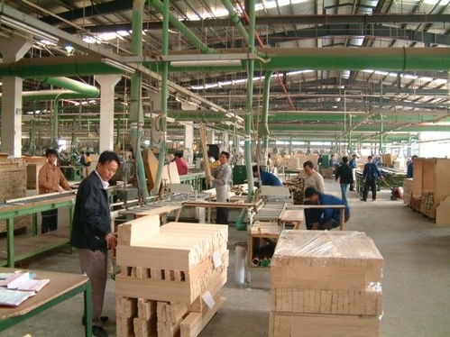 從負債五千到資產百萬 一位建材創業者的穩健之路