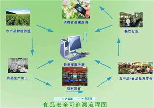 剖析物聯網能使一人養一萬頭豬 是真需求還是偽痛點的車聯網科技思考