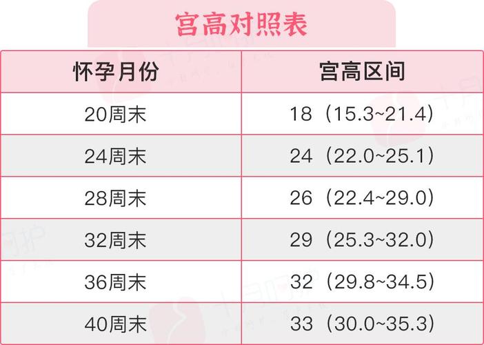 供卵试管代怀可靠吗-供卵试管代怀可靠吗?了解真相,选择最合适的方式