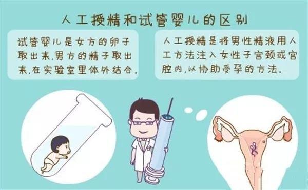 借卵试管代怀零风险(借卵试管代怀零风险，安心选择生育方式)