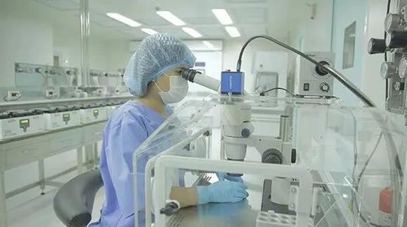 借卵试管代怀包生男孩-借卵试管代怀包生男孩:科技助力实现梦想
